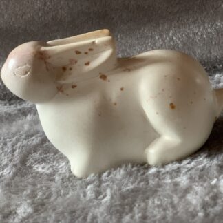 Kanin i Täljsten
